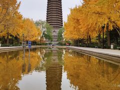 -玲珑塔公园