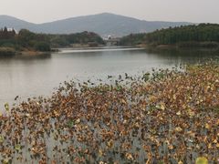 -江南大学(蠡湖校区)