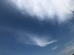 -百万葵园