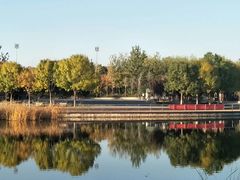 -永定河休闲森林公园