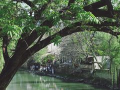 -小河直街历史文化街区