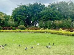 -白鹭洲公园