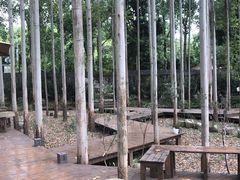 -桉树林A coffee 森林餐厅(三圣乡店)