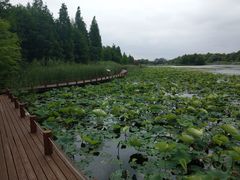 -苏州东太湖生态园