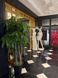 -鼎极摄影(世纪金源店)