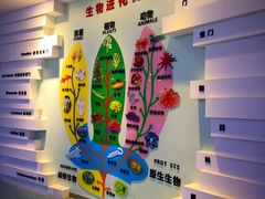 -金钉子远古世界景区