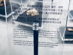 -北京周口店北京人遗址博物馆