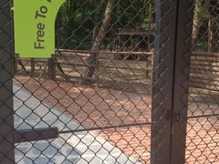 -南戴河国际娱乐中心