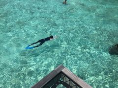 -中央格兰德岛温泉度假酒店 - 全包