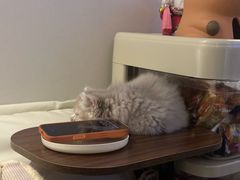 -成都你六姐·牛肉冒菜(上海杨浦合生汇店)