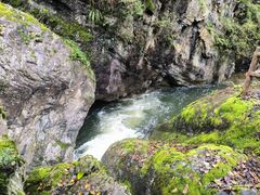 -牛背梁国家森林公园