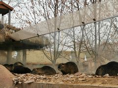 -北戴河集发农业梦想王国