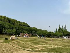 -苏州上方山国家森林公园