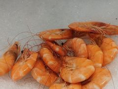 -中央电视塔旋转餐厅