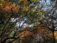 -杭州半山国家森林公园