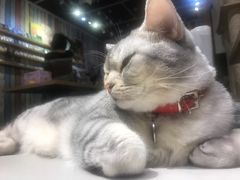 -小时光咖啡馆(开森度假森林店)