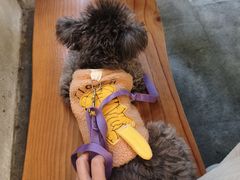 -Money Shops(愚园路店)