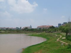 -九龙湖公园