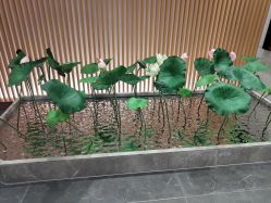 -圣梦亲体美肤生活馆