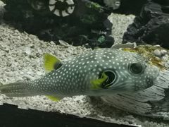 -台州海洋世界