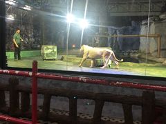 -清迈夜间动物园