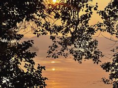-东湖落雁景区