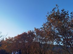 -北京西山国家森林公园