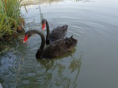 -金桥现代产业园区-停车场