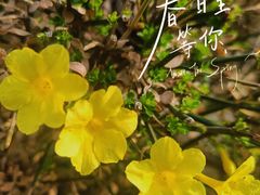 -济南国际园博园