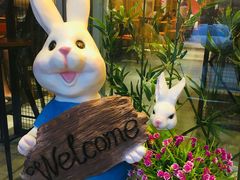 -苗小坛酸汤鱼(酒仙桥店)