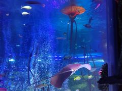 -沈阳海洋探索中心