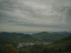 -龙井村