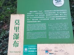 -莫里热带雨林景区