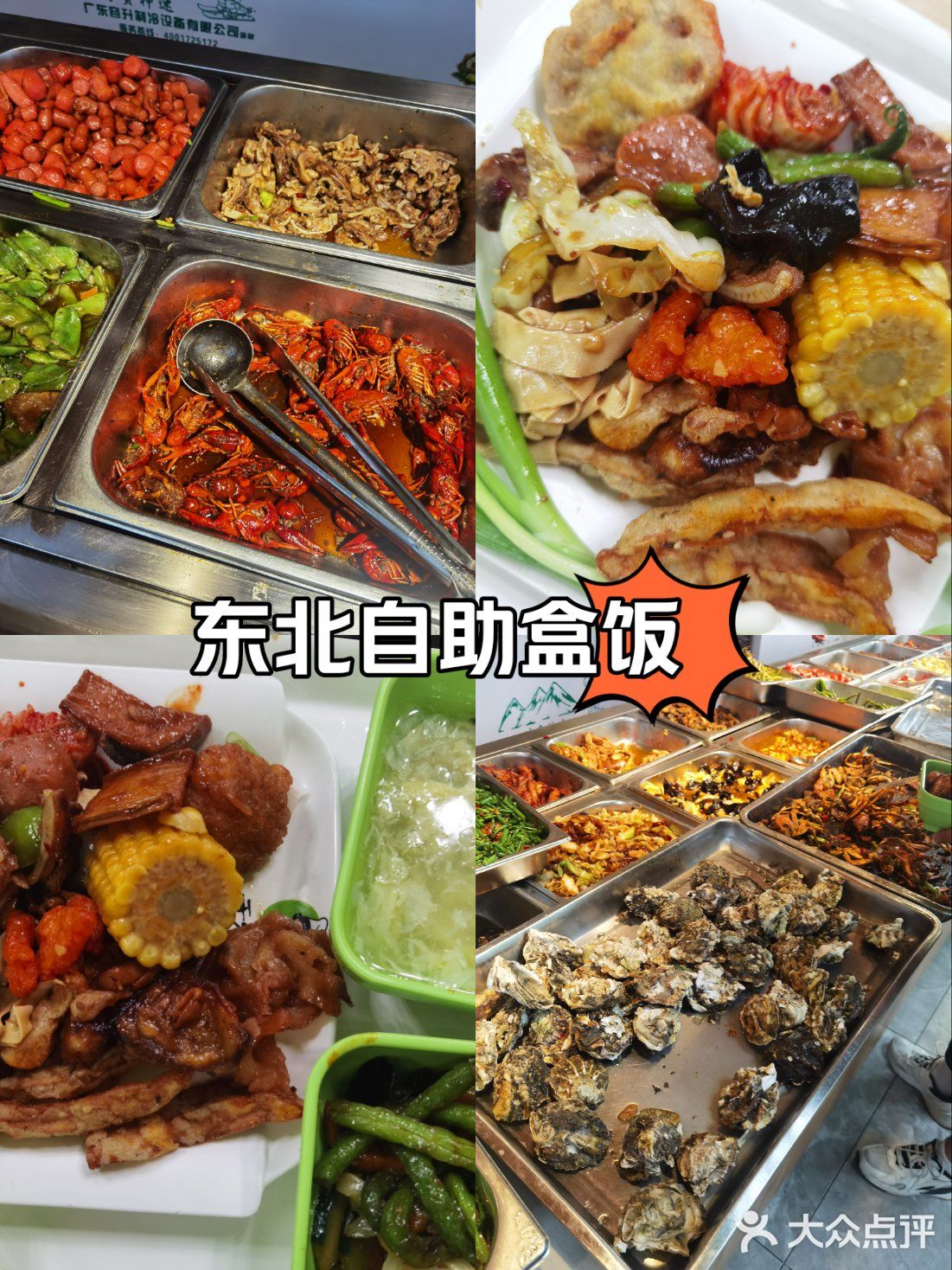 东北自助盒饭 今天一日三餐都在这了！