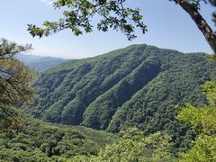 -五女峰国家森林公园