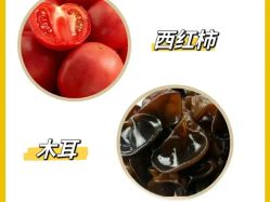 -Fundi张玉珊修身堂·indiba·BTL科技瘦身