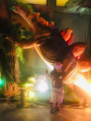 -恐龙探索乐园(磁器口店)