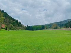 -武陵山森林公园