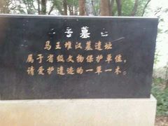 -马王堆汉墓遗址