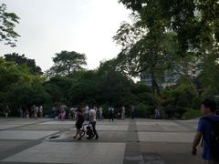 -晓港公园