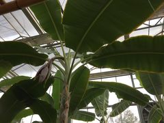 -兰陵国家农业公园