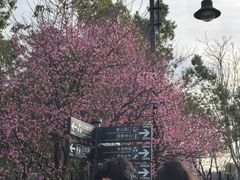 -精武路第一家(吉庆街店)