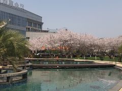 -博雅酒店-中餐厅