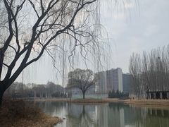 -将府公园