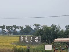 -嘉北郊野公园