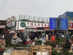 -中环花鸟鱼虫市场