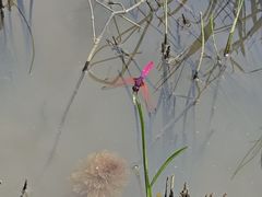 -云溪植物园