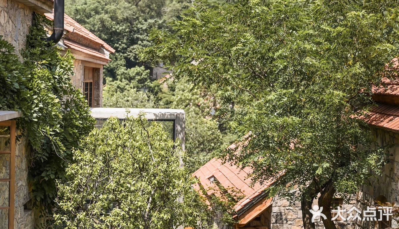 山东小瑞士🌳来感受绿林山谷里的静谧时光!