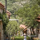 山东小瑞士🌳来感受绿林山谷里的静谧时光!