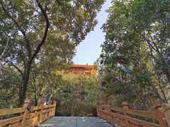 -大屏嶂森林公园